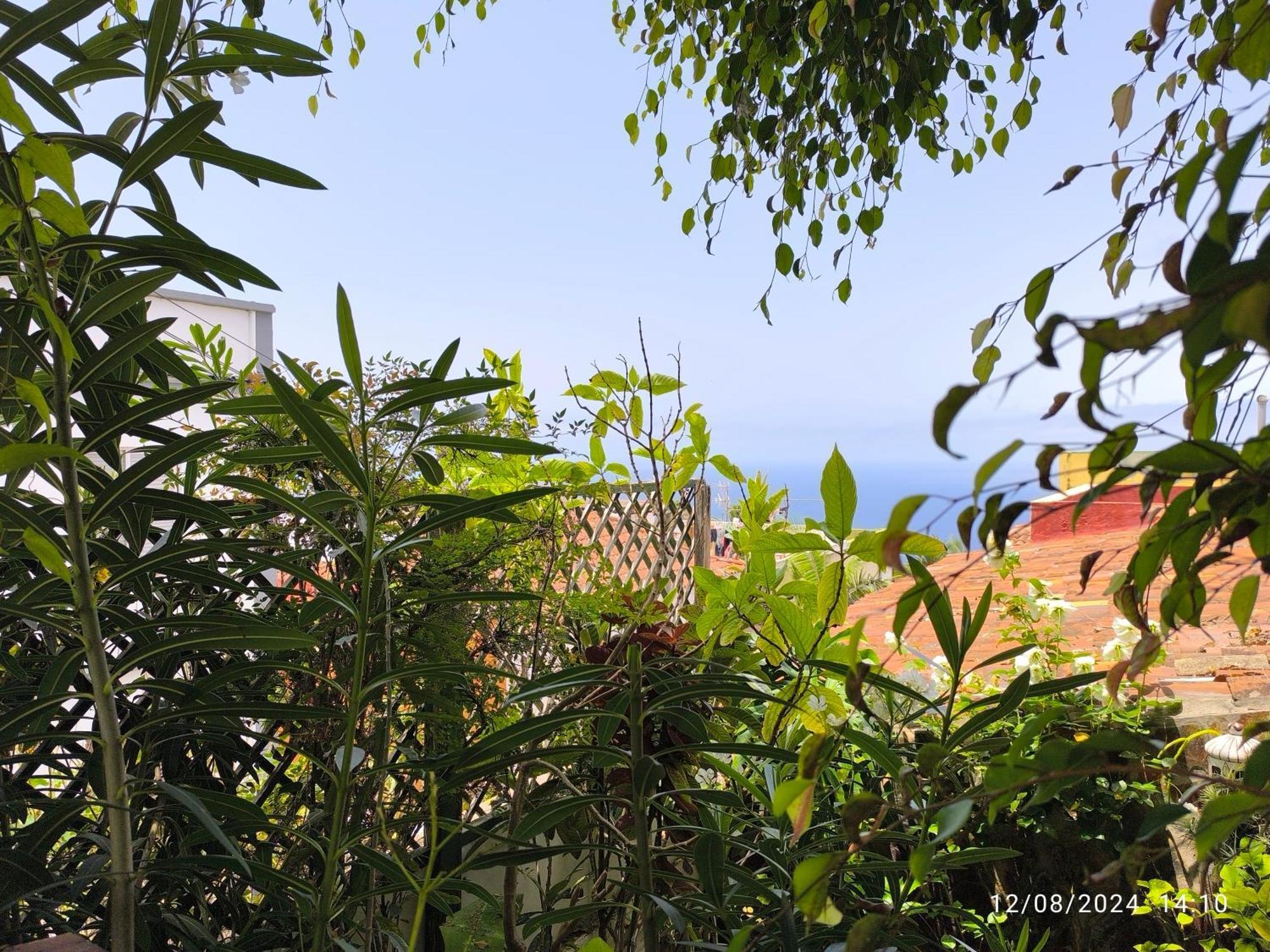 Casa Flora Garden Studio El El Sauzal Exterior foto